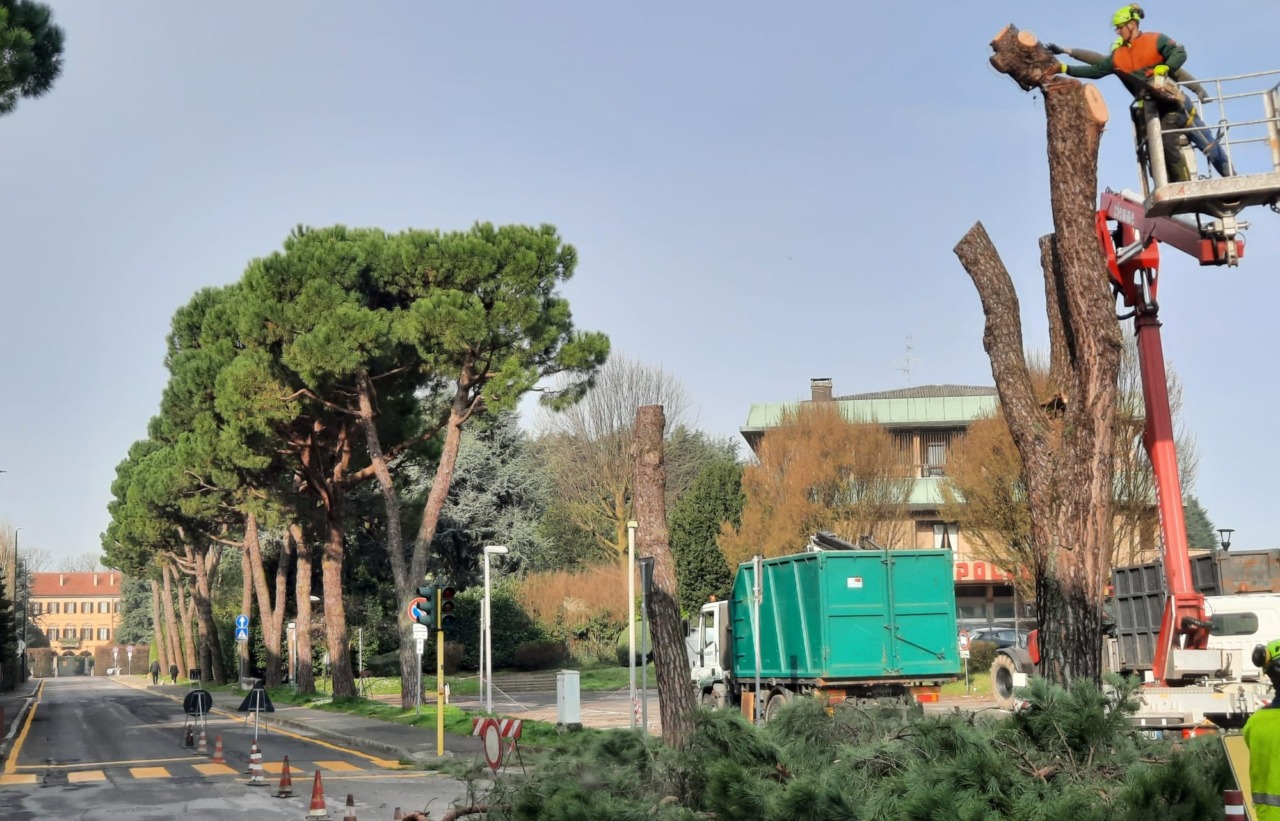 Iniziano i lavori di riqualificazione del parcheggio “Dell’Apollo” ad Arcore