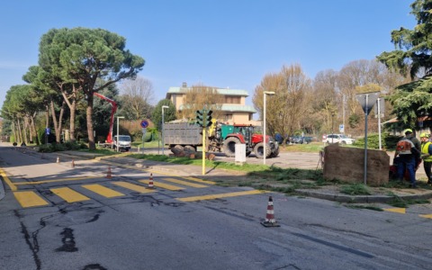 Riqualificazione del parcheggio “Apollo”: abbattuti i pini, scoppia la polemica