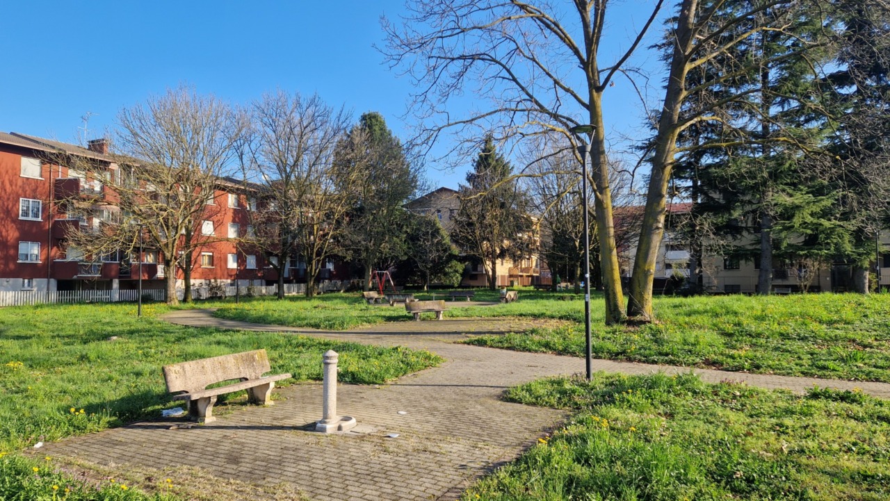 Un albero dedicato a Stefano, scomparso subito dopo il matrimonio