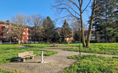 Un albero dedicato a Stefano, scomparso subito dopo il matrimonio