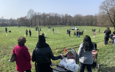 Un bosco per celebrare 146 nuovi nati a Vimercate