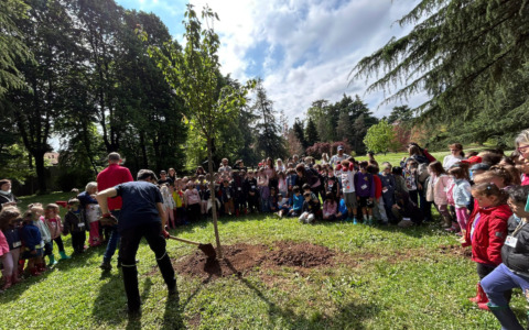 Giornata dell’Albero al Parco Gussi: coinvolti oltre 300 studenti