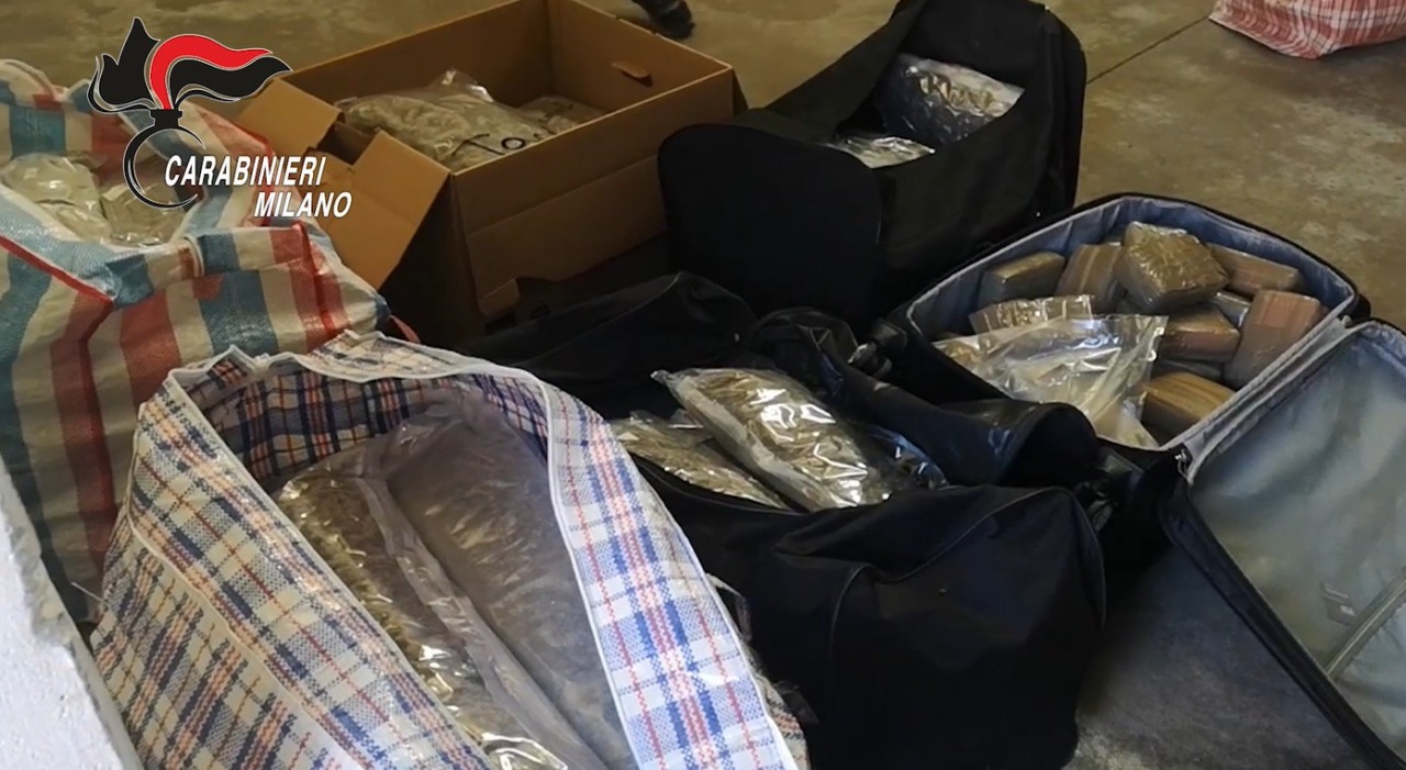 Maxi operazione dei Carabinieri contro il traffico di droga: 13 arresti