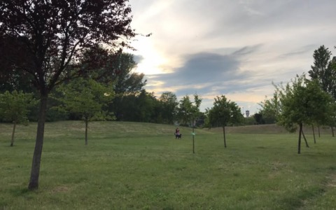 Miasmi a Bernate: attivati i cittadini “sentinelle” e convocata assemblea pubblica il 23 aprile