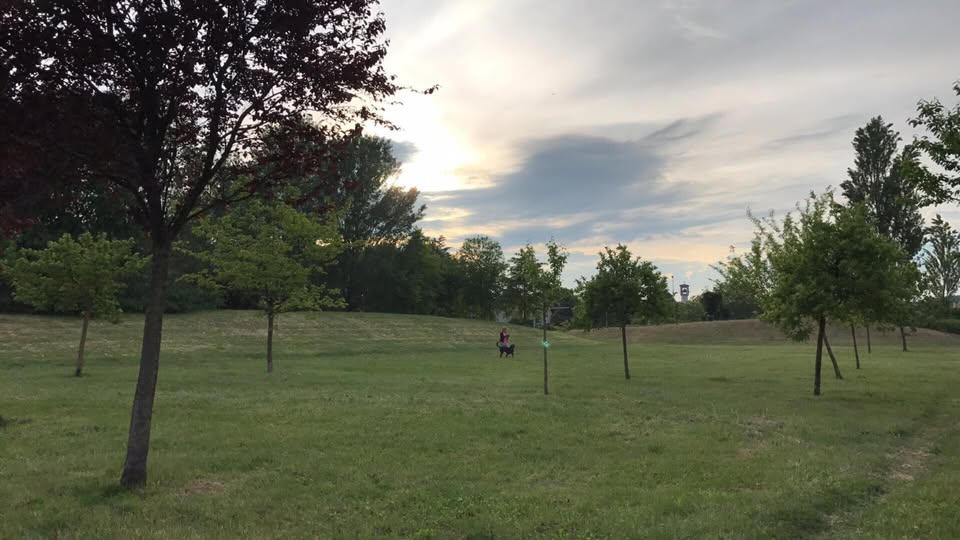 Miasmi a Bernate: attivati i cittadini “sentinelle” e convocata assemblea pubblica il 23 aprile