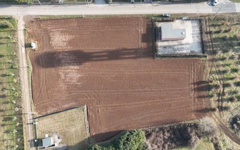 Nasce un nuovo bosco a Concorezzo grazie al data center di Vimercate