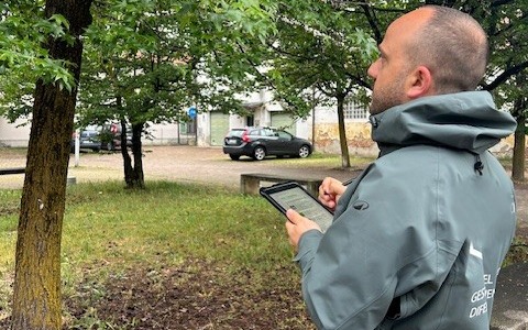 Takahashia japonica: intervento contro il parassita in Brianza