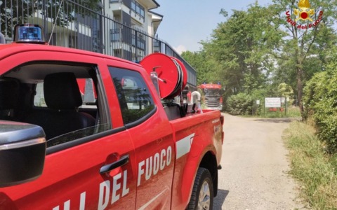 Incendio in deposito attrezzi: due gatti e alcuni uccelli perdono la vita